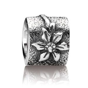 Pandora 2 sided oval Poinsettia Charm •Retired